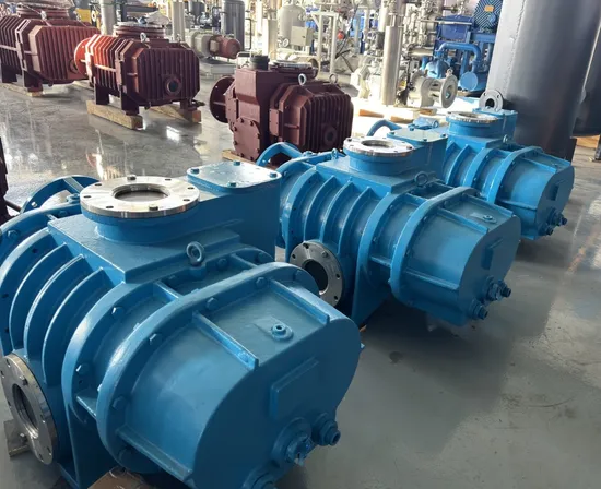 High Capacity Roots Vacuum Booster Pump for Vacuum Distillation